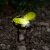 Leszúrható szolárlámpa 12db/tálca - méhecske - 8 x 6,5 x 14 cm - Fehér LED 
